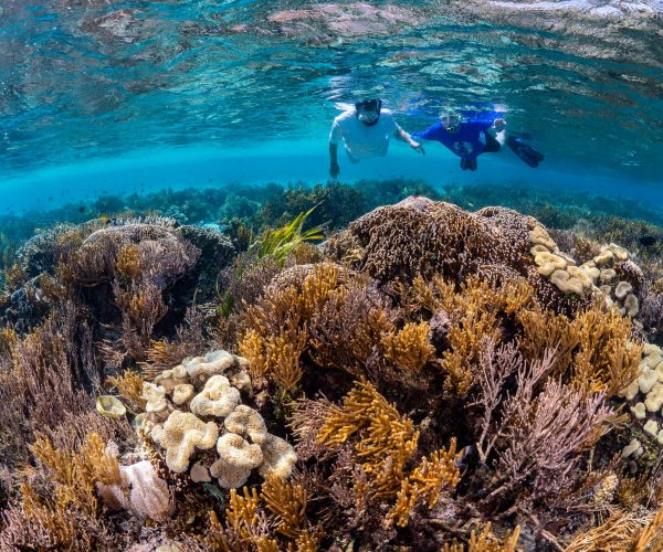 Nusa Penida Snorkeling 3