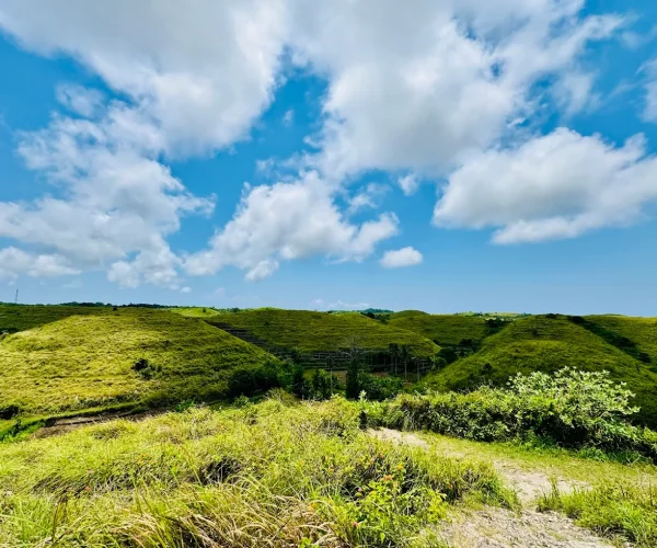 Teletubbies Hill