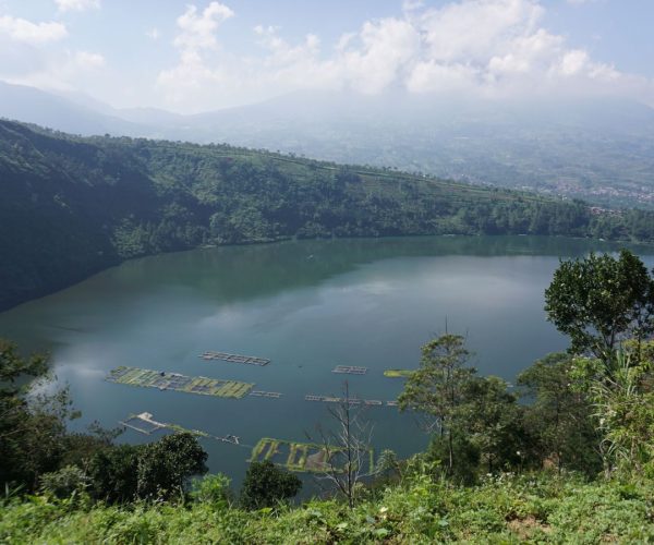 bedugul twin