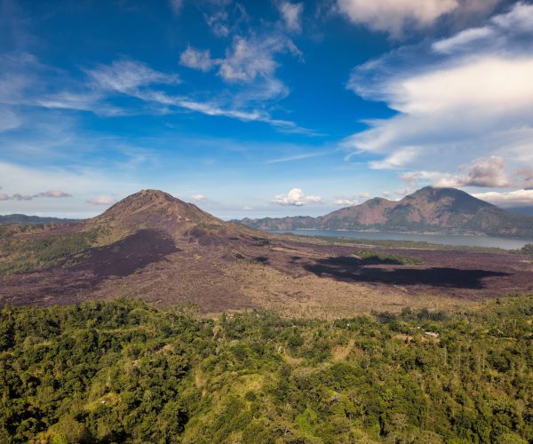 kintamani1