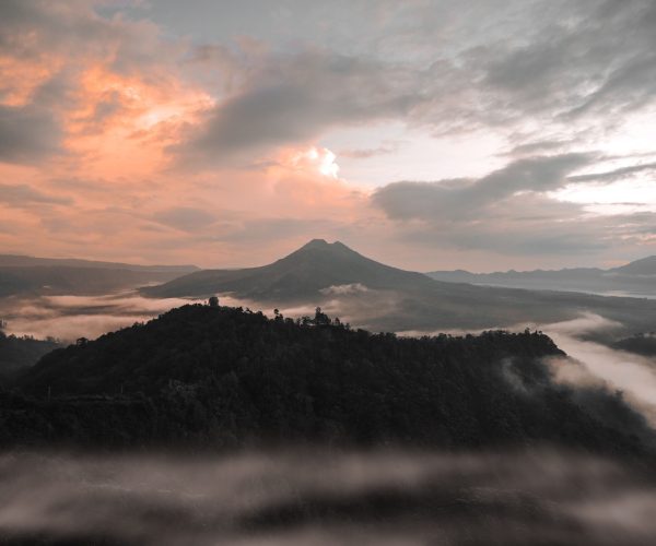 kintamani4