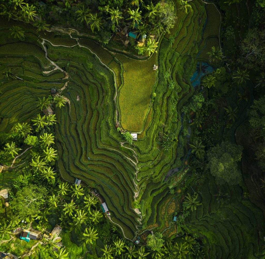 tegalalang